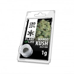 Résine Jelly de CBD MANGO KUSH 22% en 1gr