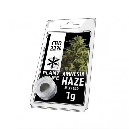 Résine Jelly de CBD AMNESIA HAZE 22% en 1gr