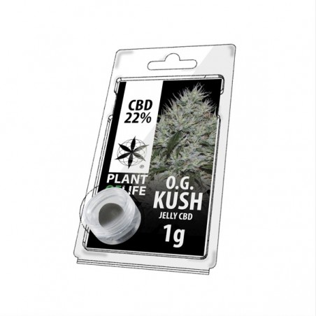 Résine Jelly de CBD OG KUSH 22% en 1gr