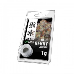 Résine Jelly de CBD BLUEBERRY 22% en 1gr