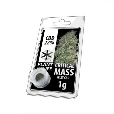 Résine Jelly de CBD CRITICAL MASS 22% en 1gr