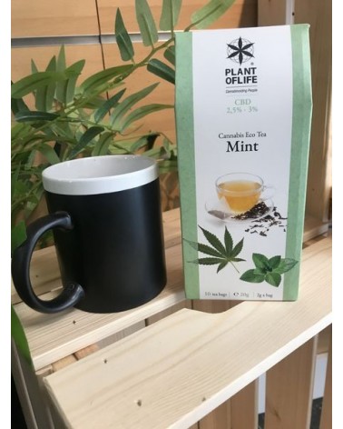 Infusion chanvre et menthe - 2,5% à 3% de CBD