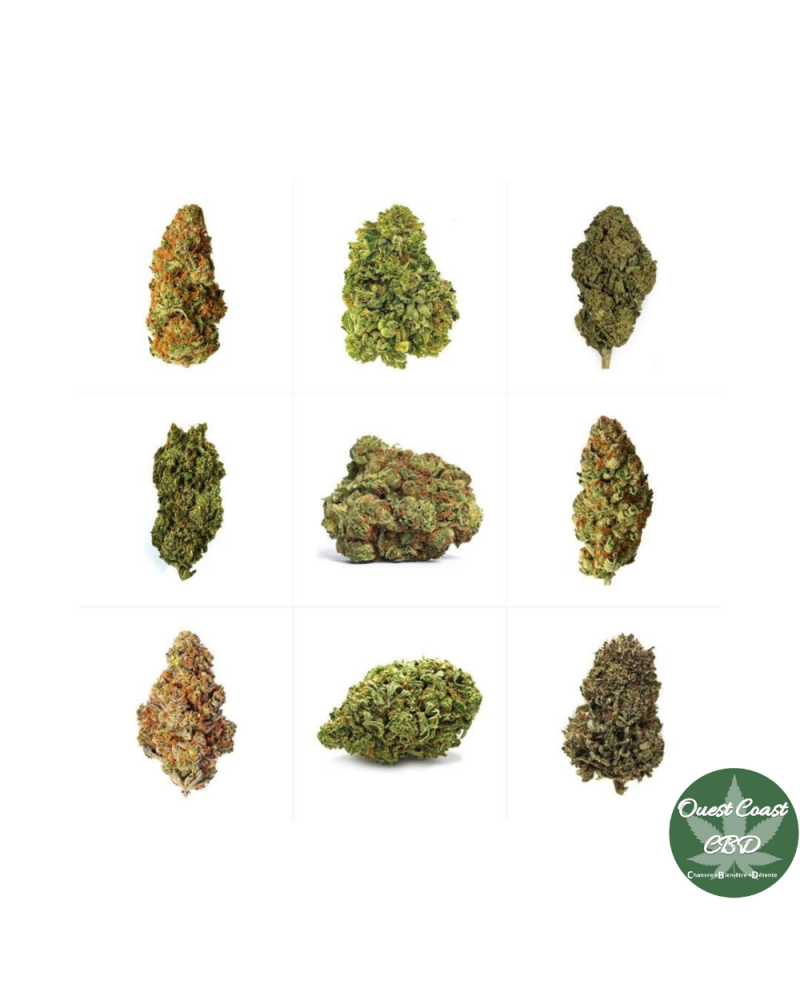 Pack découverte de 10 variétés de fleurs de CBD