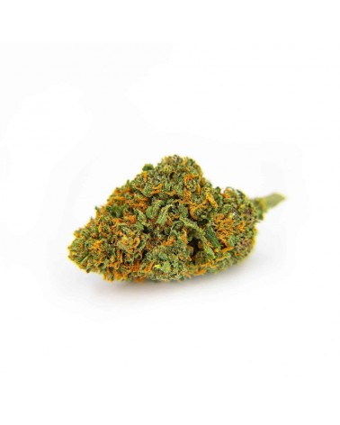 Fleur de CBD ORANGE BUD