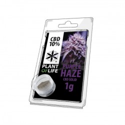 Résine de CBD solide PURPLE HAZE 10% en 1gr