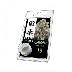 Résine de CBD solide BLUE CHEESE 10% en 1gr