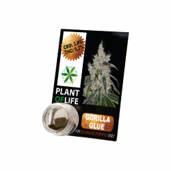 Résine de CBD solide GORILLA GLUE 3,8% en 1g