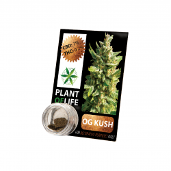 Résine de CBD solide OG KUSH 3,8% en 1gr